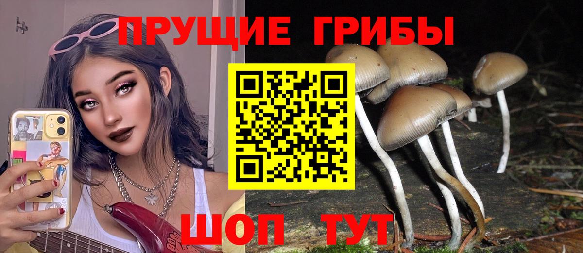 Галлюциногенные грибы мицелий Родники
