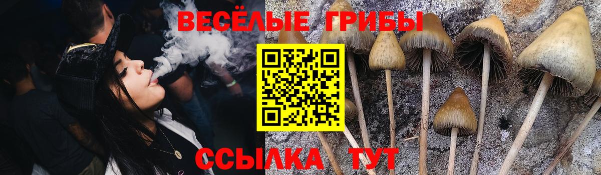 Галлюциногенные грибы Psilocybine cubensis  продажа наркотиков  Родники  Вход с VPN 